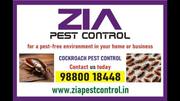 Cockroach Pest Control Upto 30% Discount | Bed Bugs Pest service